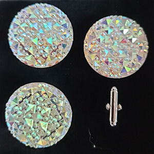 Blanket Pin Number Holder Horse Show Number Set Aurora Borealis